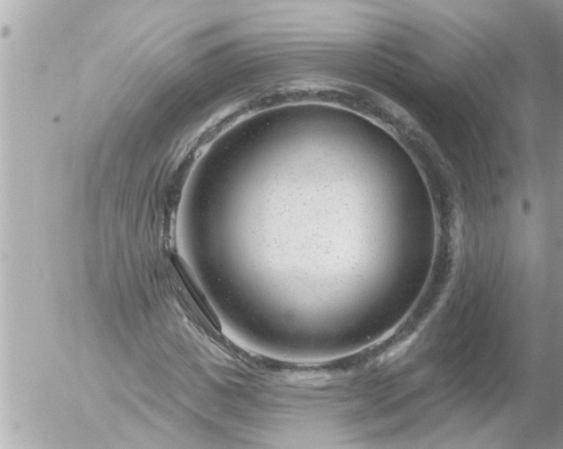 X0000055520825200508262203