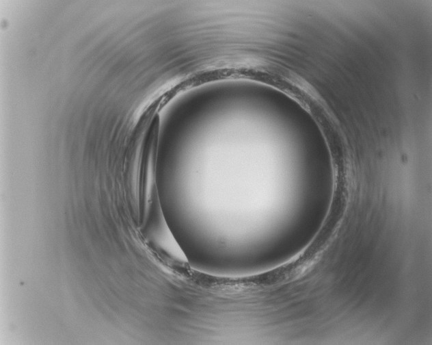 X0000055520826200508262203