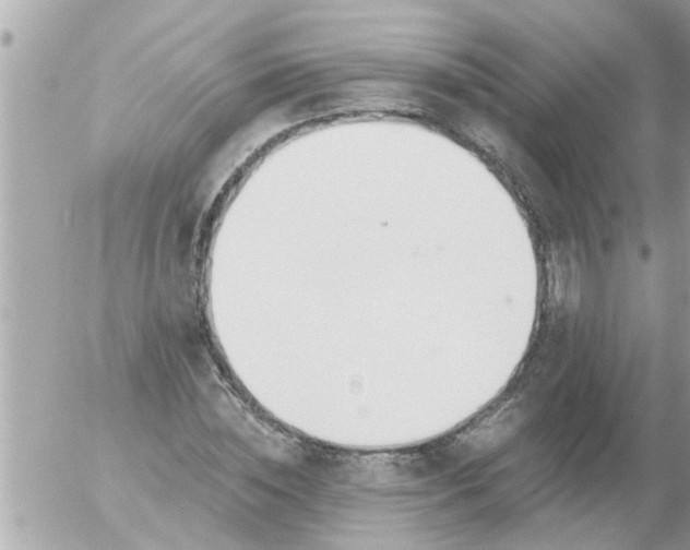 X0000055520828200508262203