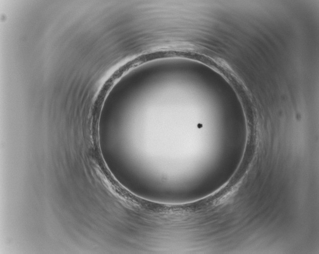 X0000055520830200508262203