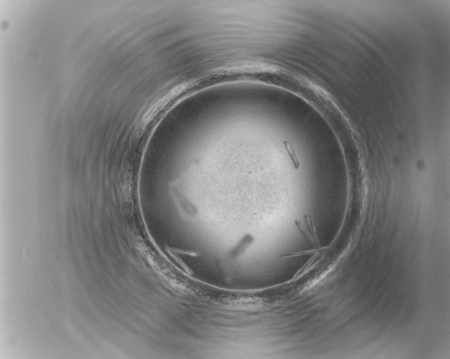 X0000055520833200508262203