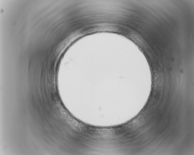 X0000055520836200508262203