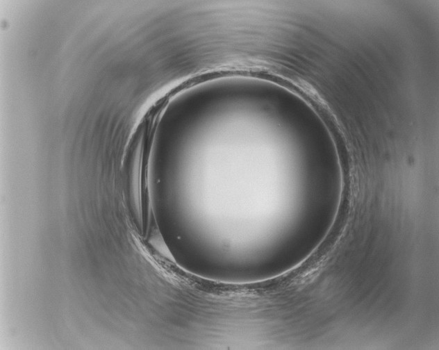 X0000055520838200508262203