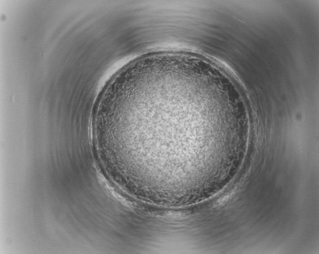 X0000055520839200508262203