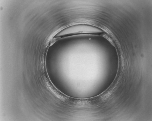 X0000055520842200508262203