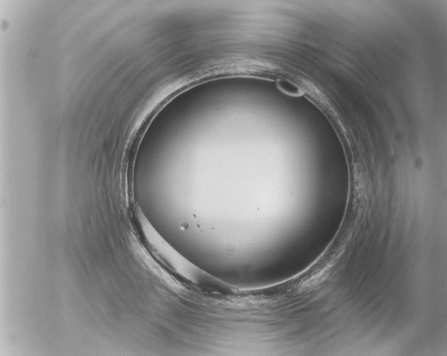 X0000055520843200508262203