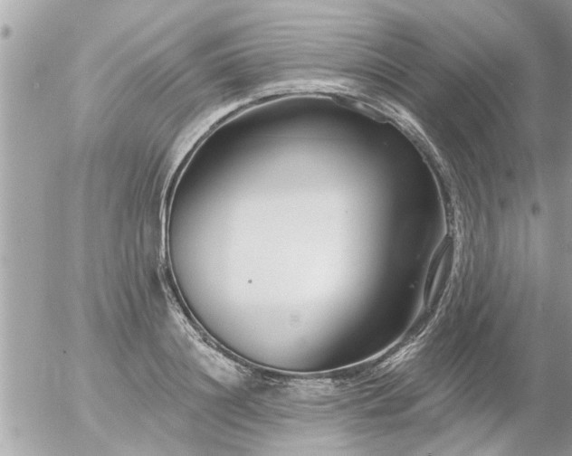 X0000055520844200508262203