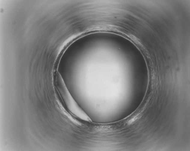 X0000055520846200508262203