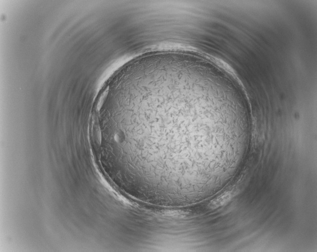 X0000055520847200508262203