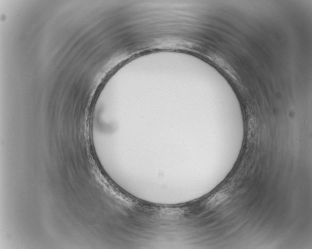 X0000055520848200508262203