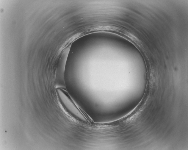 X0000055520849200508262203