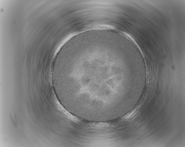 X0000055520851200508262204