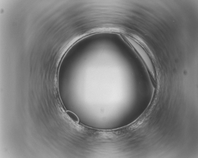 X0000055520852200508262204