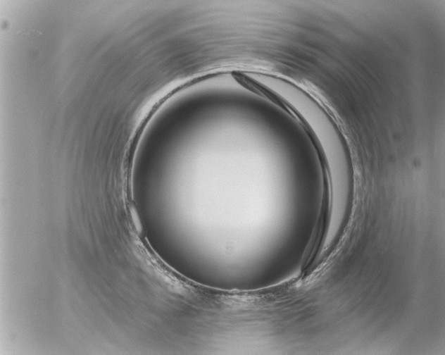 X0000055520854200508262204