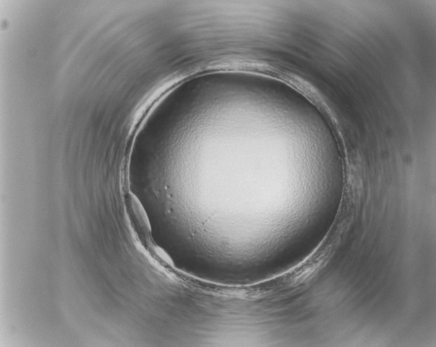 X0000055520855200508262204