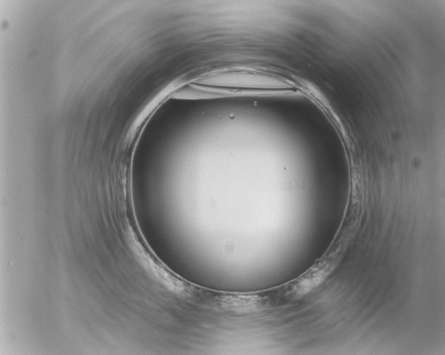 X0000055520859200508262204