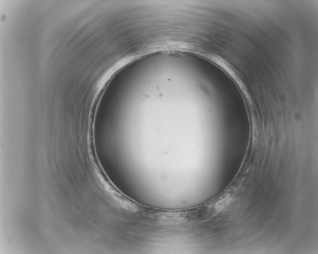 X0000055520861200508262204