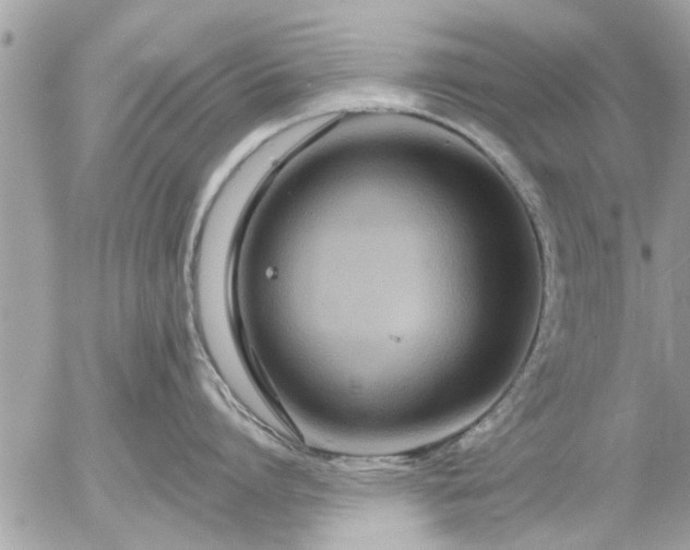 X0000055520864200508262204