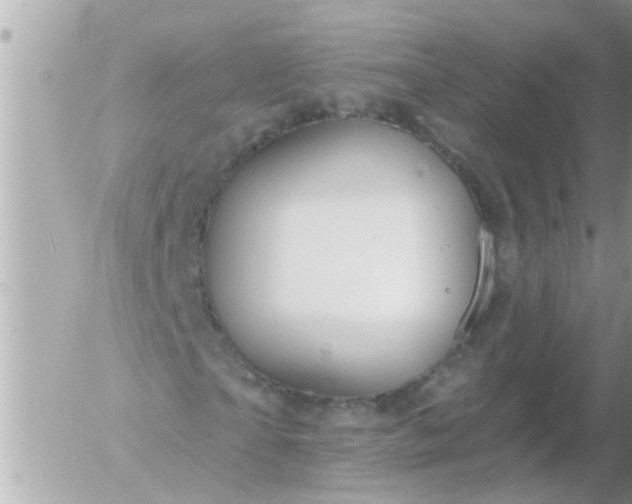 X0000055520865200508262203