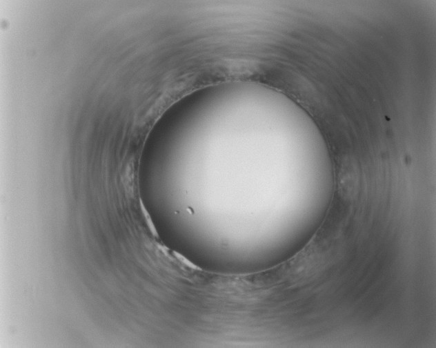 X0000055520866200508262203