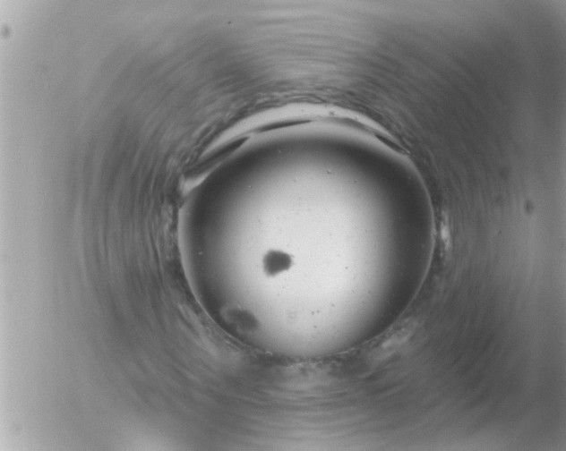 X0000055520867200508262203