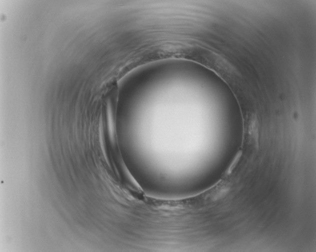 X0000055520868200508262203