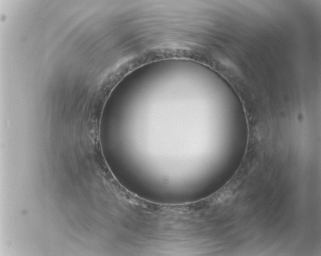 X0000055520870200508262203