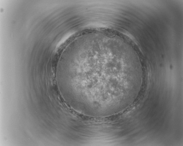 X0000055520871200508262203