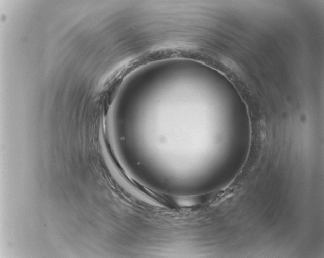 X0000055520872200508262203