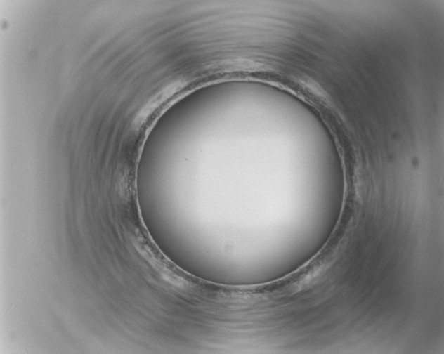 X0000055520873200508262203