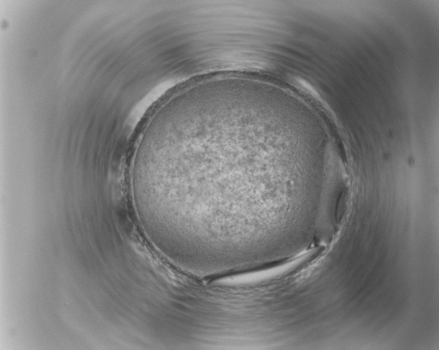 X0000055520875200508262203