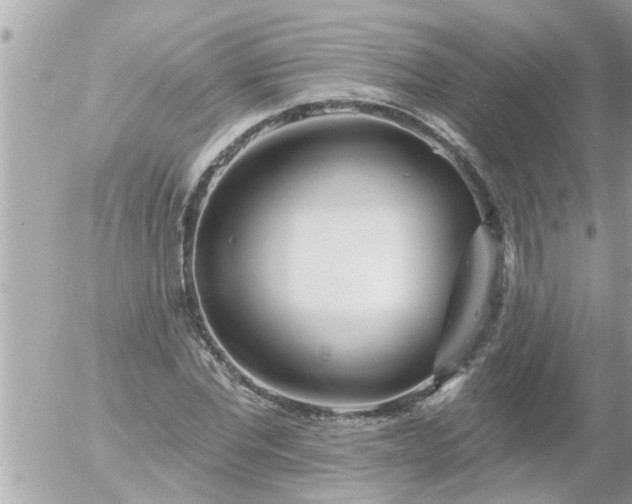 X0000055520877200508262203