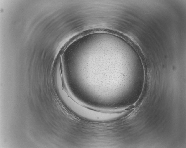 X0000055520879200508262203