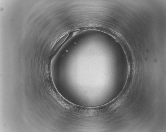 X0000055520881200508262203