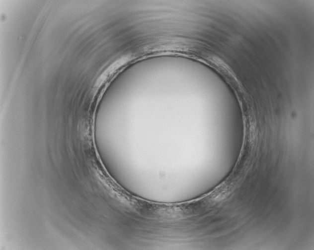 X0000055520882200508262203