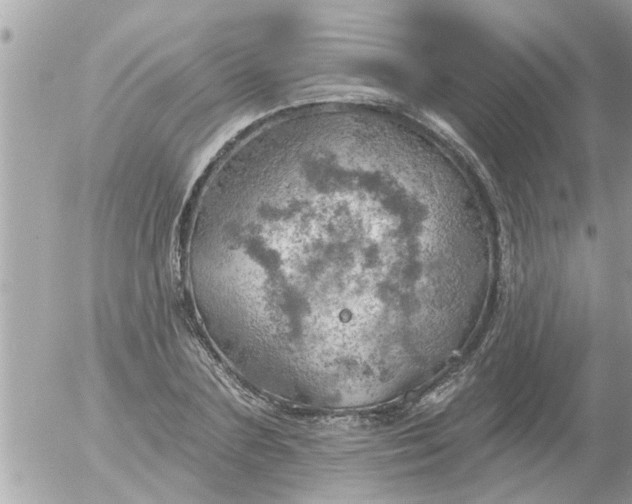 X0000055520883200508262203