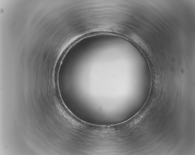 X0000055520884200508262203