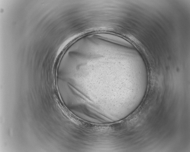 X0000055520886200508262203