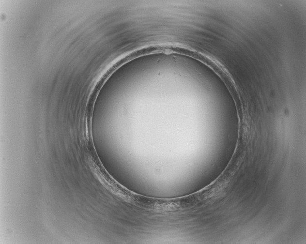 X0000055520887200508262203