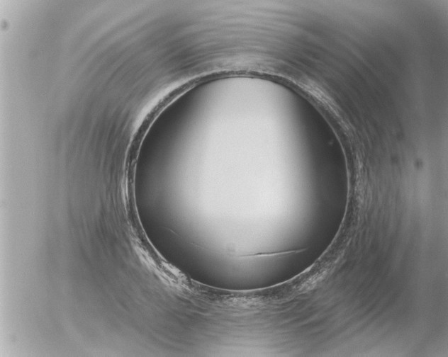 X0000055520888200508262203