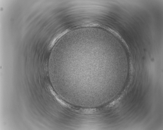 X0000055520889200508262203