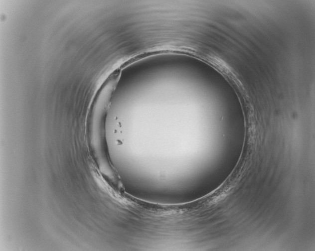 X0000055520892200508262202