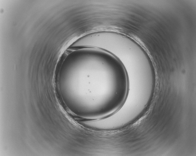 X0000055520893200508262202