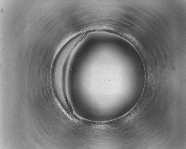 X0000055520894200508262202