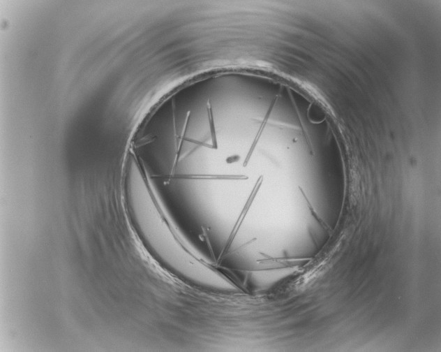 X0000055520895200508262202