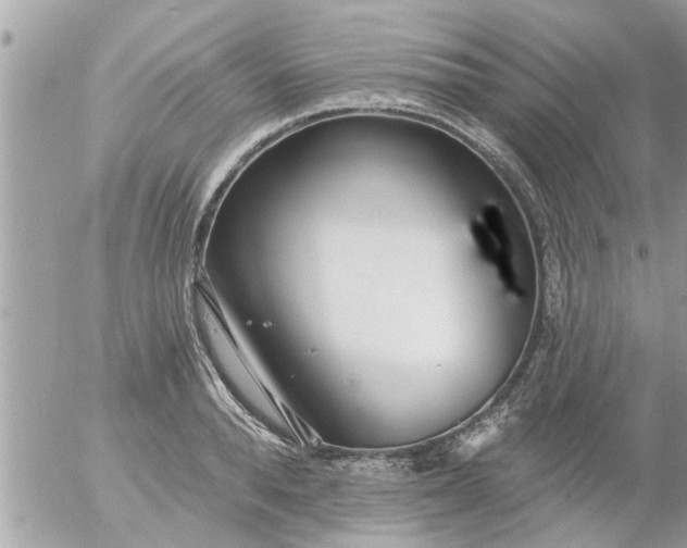 X0000055520896200508262202