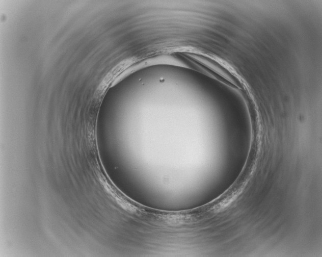 X0000055520897200508262202