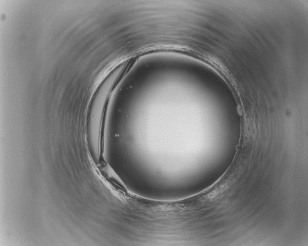 X0000055520898200508262202