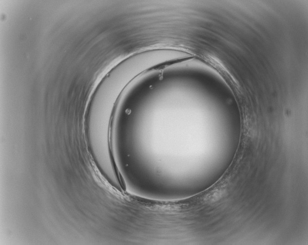 X0000055520900200508262202