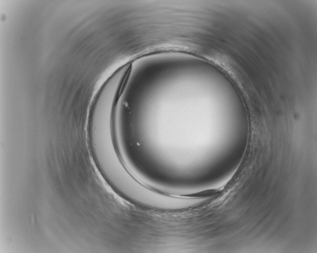 X0000055520902200508262202